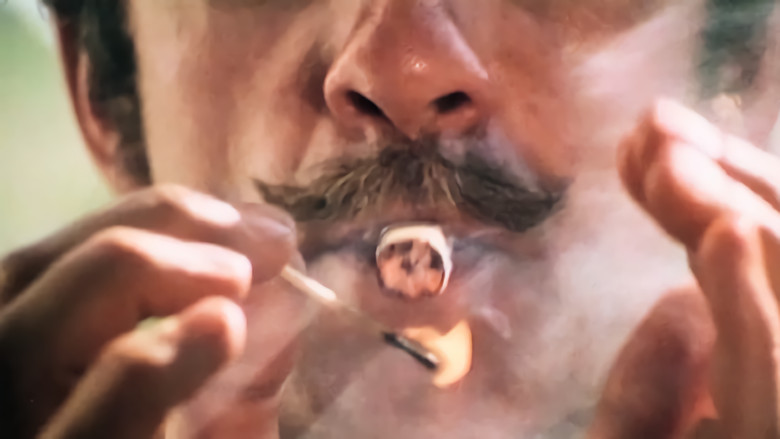 кадр из фильма Bokhandlaren som slutade bada