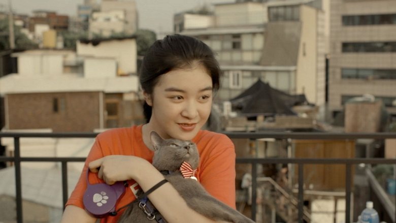 кадр из фильма 나만 없어 고양이