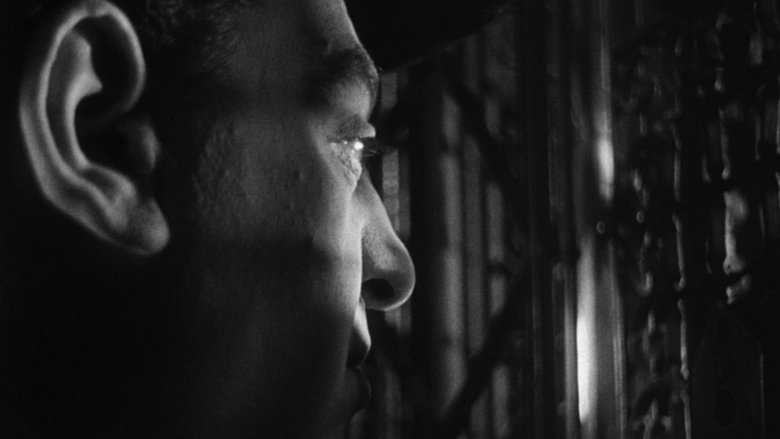 кадр из фильма El vampiro negro