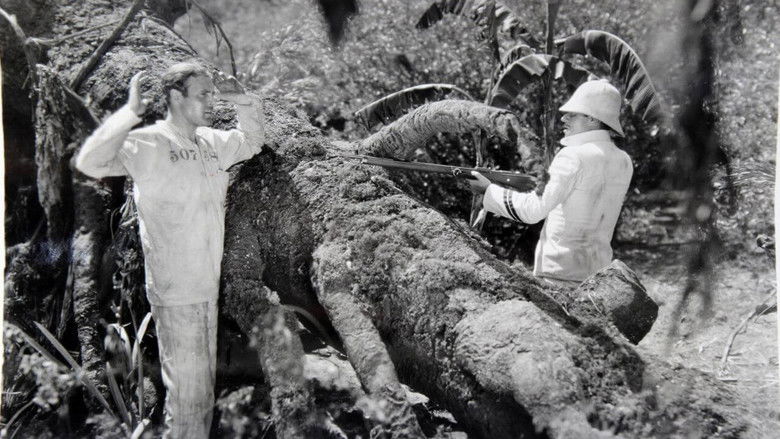 кадр из фильма Hell's Island