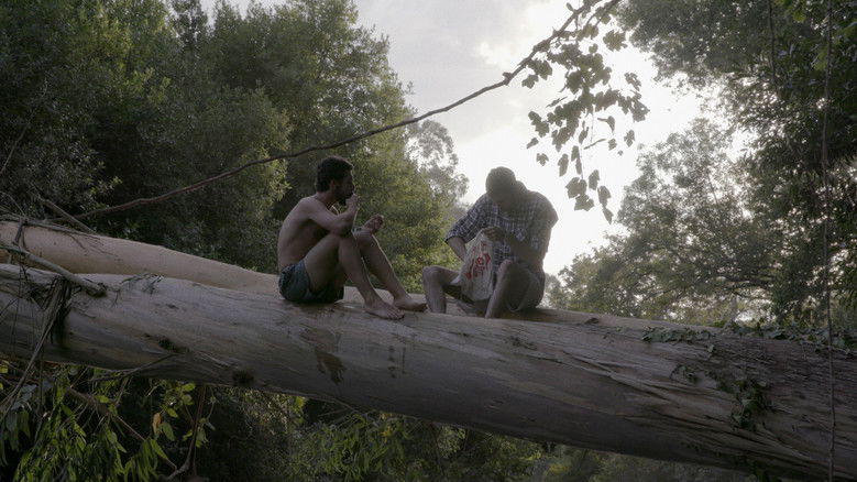 кадр из фильма Para Norte