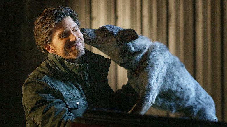 кадр из фильма По прогнозу - любовь