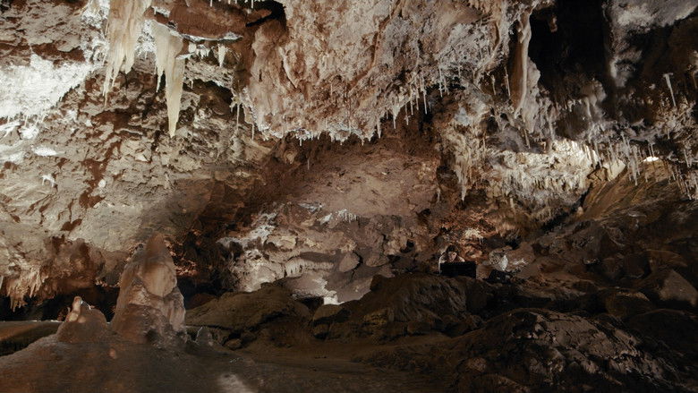 кадр из фильма BIOMES