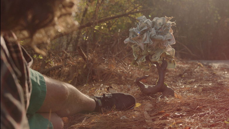 кадр из фильма Money Tree