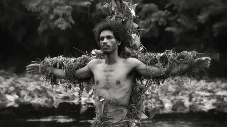 кадр из фильма Los océanos son los verdaderos continentes