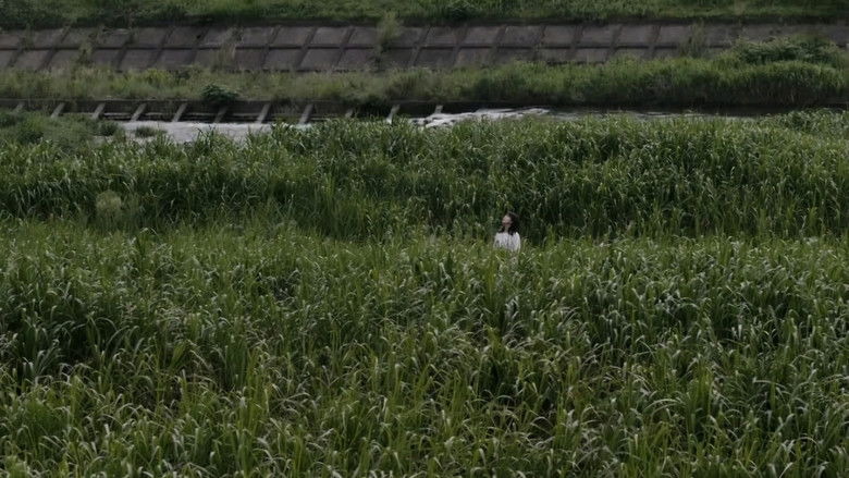 кадр из фильма Асако 1 и 2