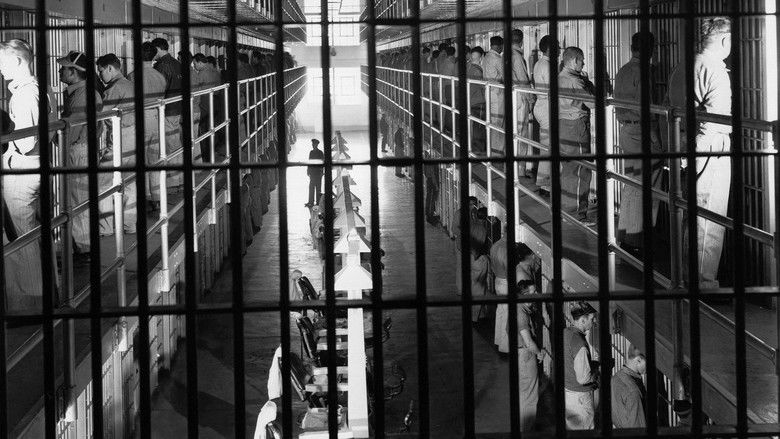 кадр из фильма Canon City