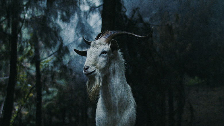 кадр из фильма Печать ведьмы