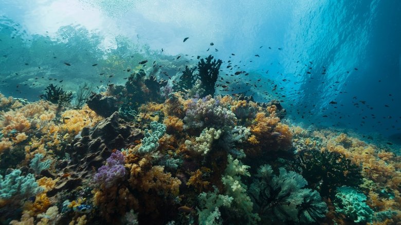 кадр из фильма Океаны