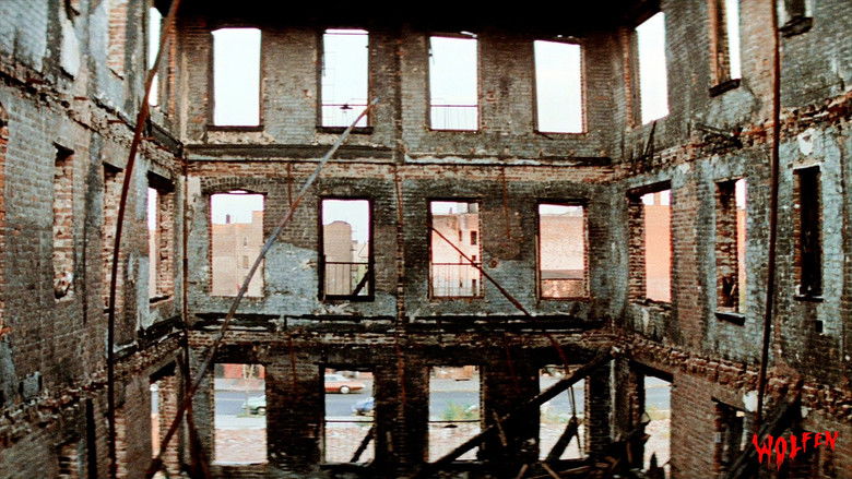 кадр из фильма Волки