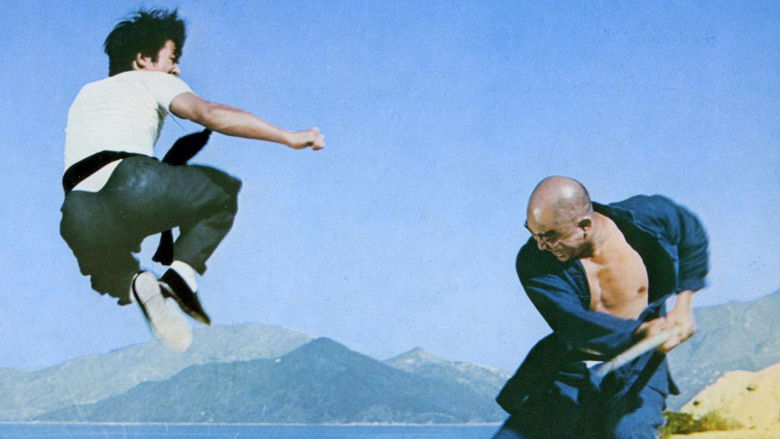 кадр из фильма 小霸王