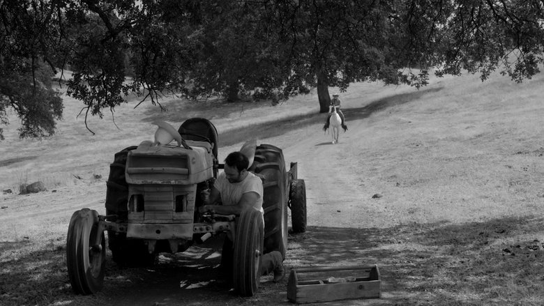 кадр из фильма The Divide