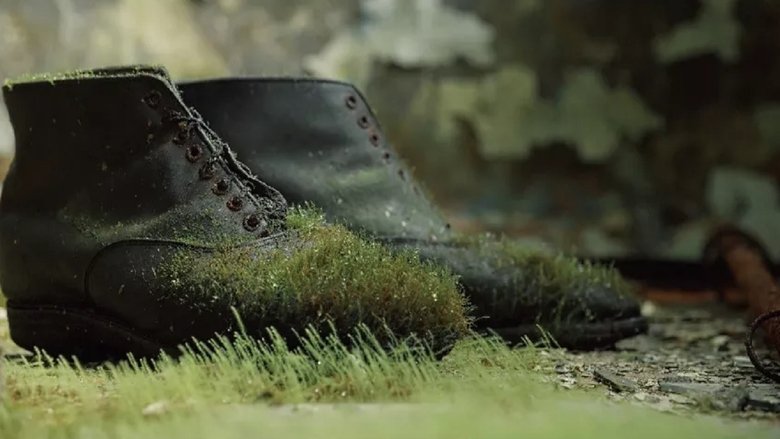 кадр из фильма Земля людей. Курилы