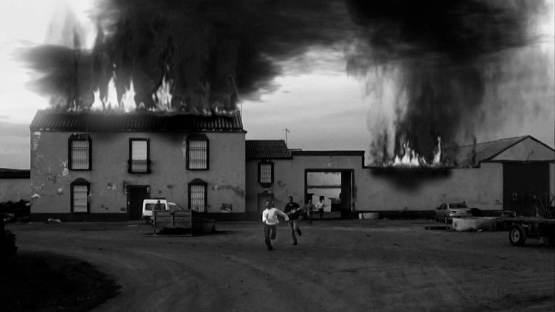 кадр из фильма La Colmena