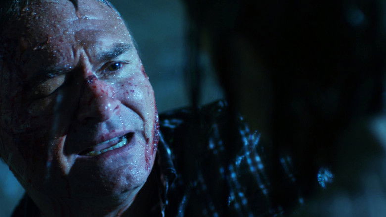 кадр из фильма You Missed Sonja