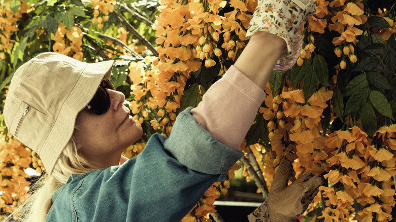 кадр из фильма Ракитник