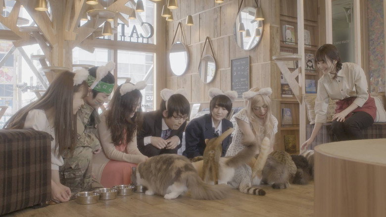 кадр из фильма 猫カフェ