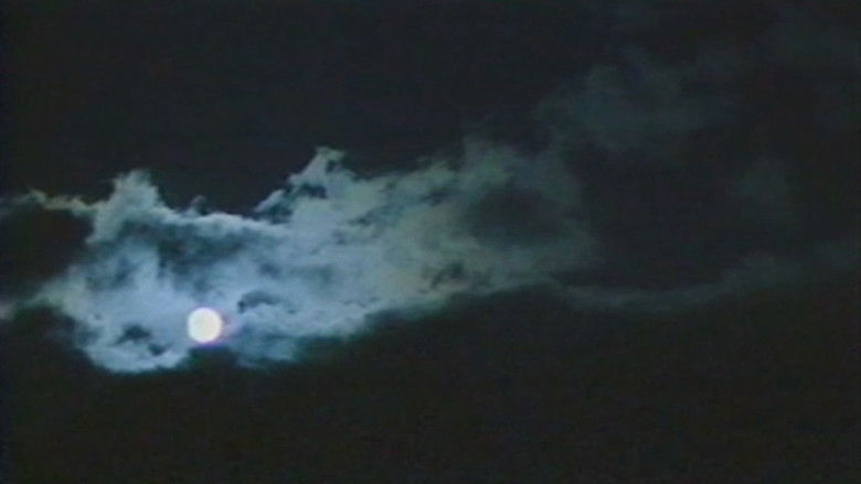 кадр из фильма 火垂