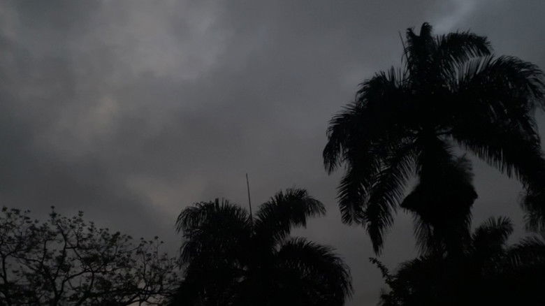 кадр из фильма Ínsito