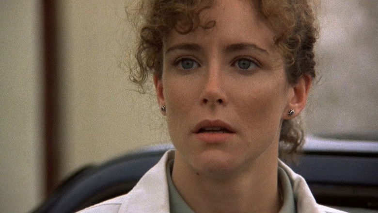 кадр из фильма Зодчий теней