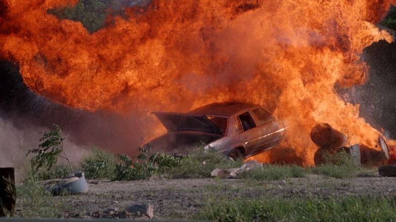 кадр из фильма Коготь тигра