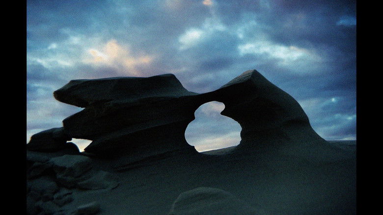 кадр из фильма AMOR