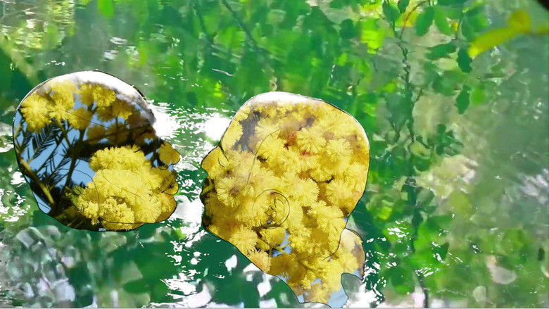 кадр из фильма Mikveh