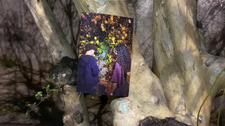 кадр из фильма Tudo O Que Podia Ser