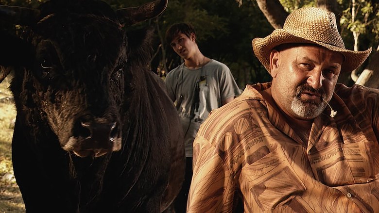 кадр из фильма Sonja i bik