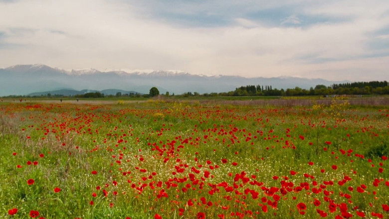 кадр из фильма Апрель