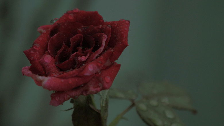 кадр из фильма Nanay