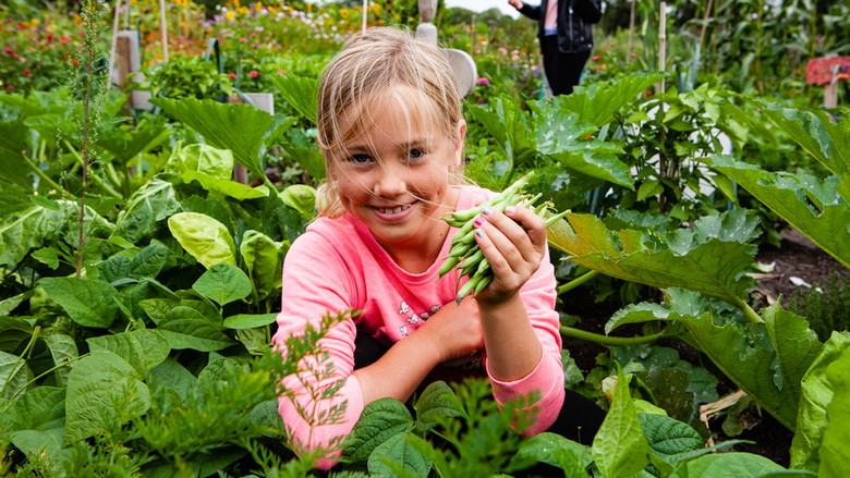 кадр из фильма Onder het maaiveld junior