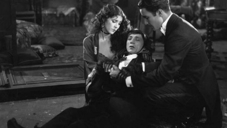 кадр из фильма The Monkey Talks