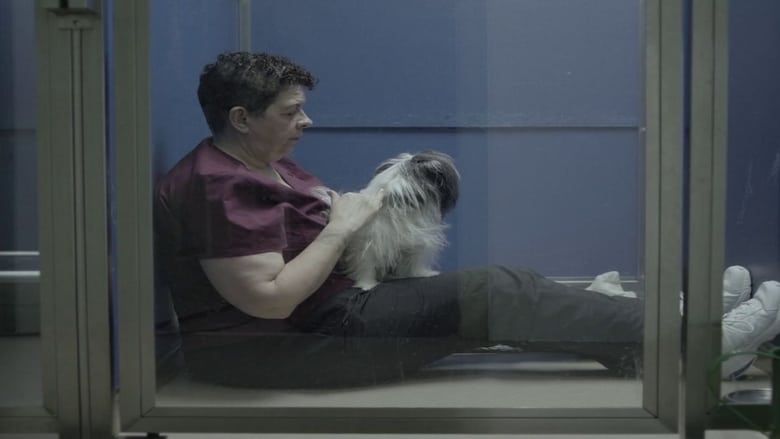 кадр из фильма Сердечный шум