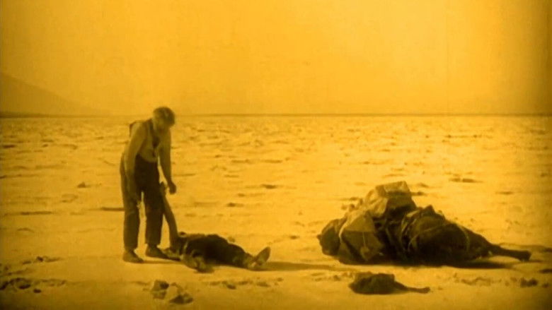 кадр из фильма Алчность