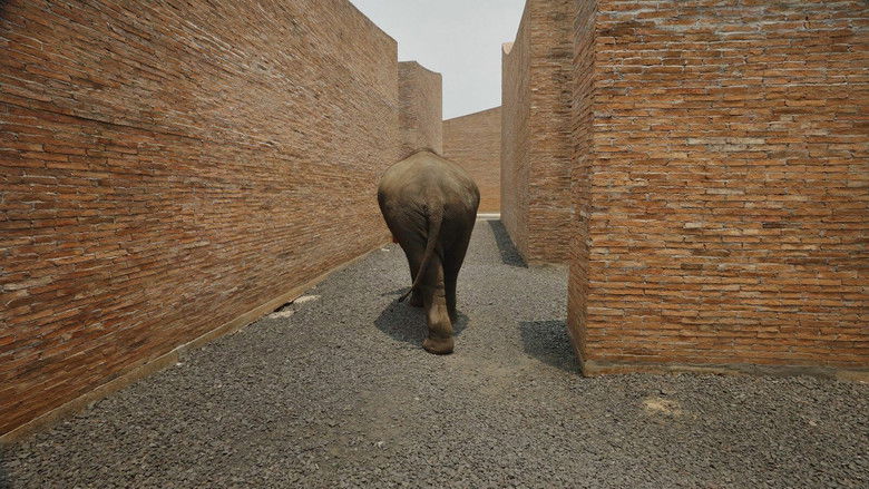 кадр из фильма Big Ears Listen with Feet