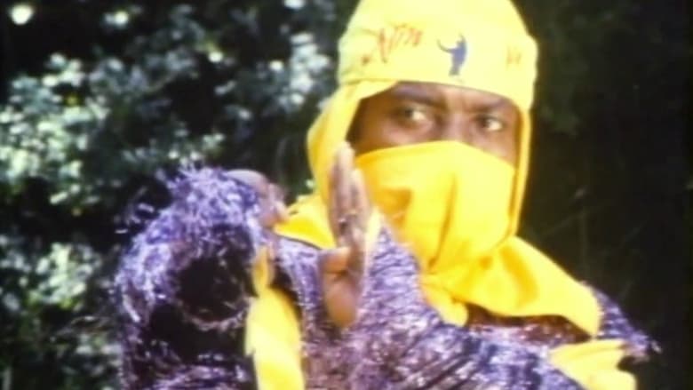 кадр из фильма Ninja Operation - Knight and Warrior