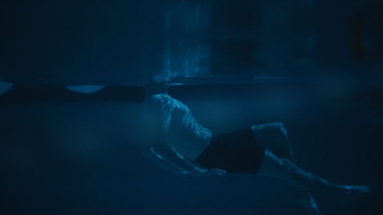 кадр из фильма American Flake