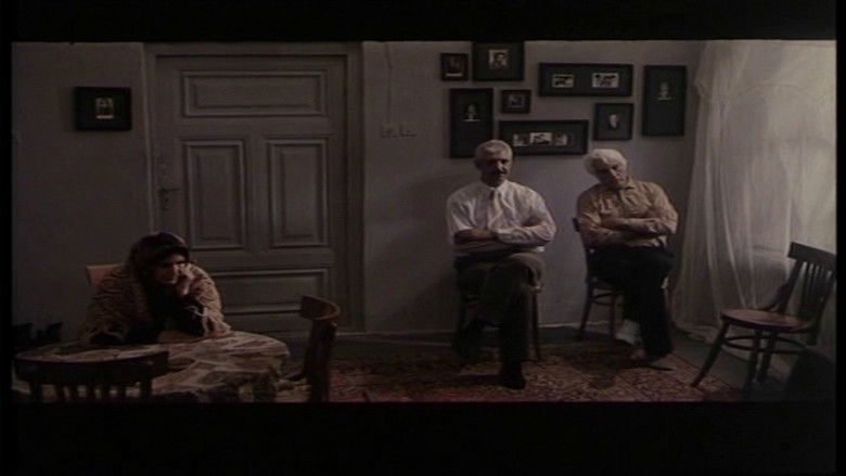 кадр из фильма تصنیف قدیمی و غمناک عصر بارانی آسمار