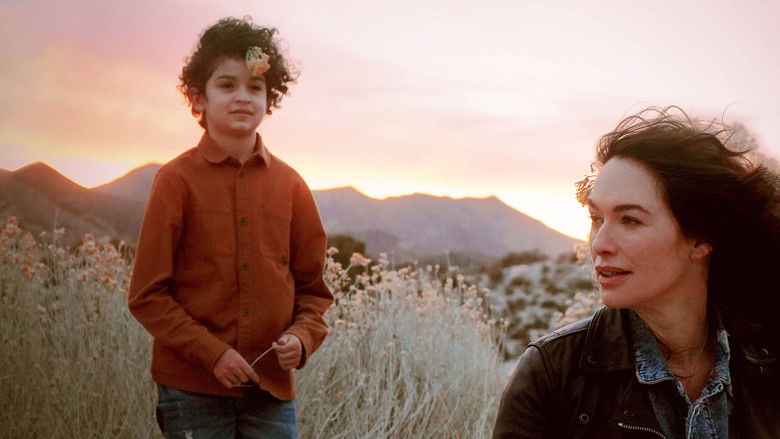 кадр из фильма Девять жизней