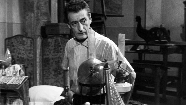 кадр из фильма Totò cerca casa