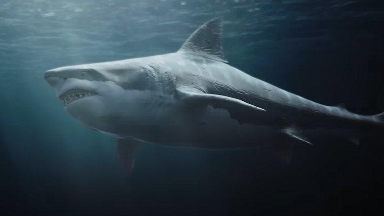 кадр из фильма Акула-убийца