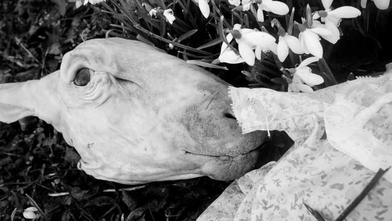 кадр из фильма Hasselager Hunchback