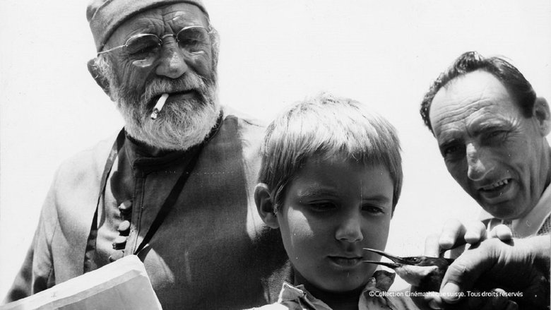 кадр из фильма La steppa