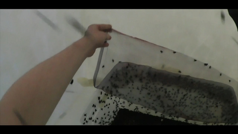 кадр из фильма Een Gebeuren