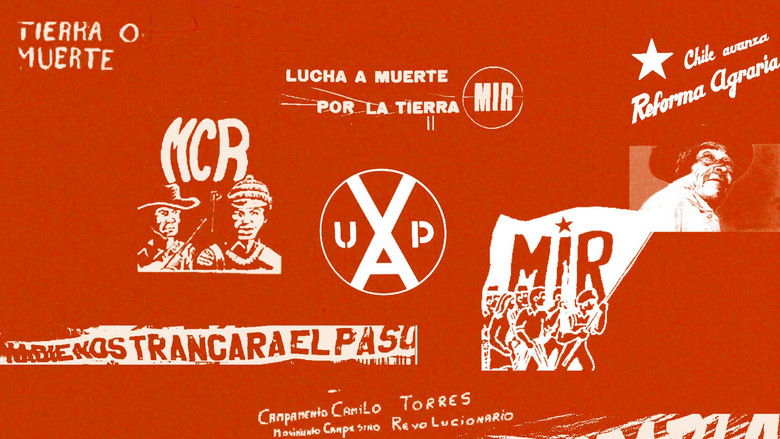 кадр из фильма A desalambrar