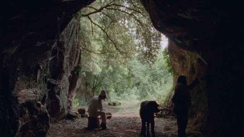 кадр из фильма Bella e perduta