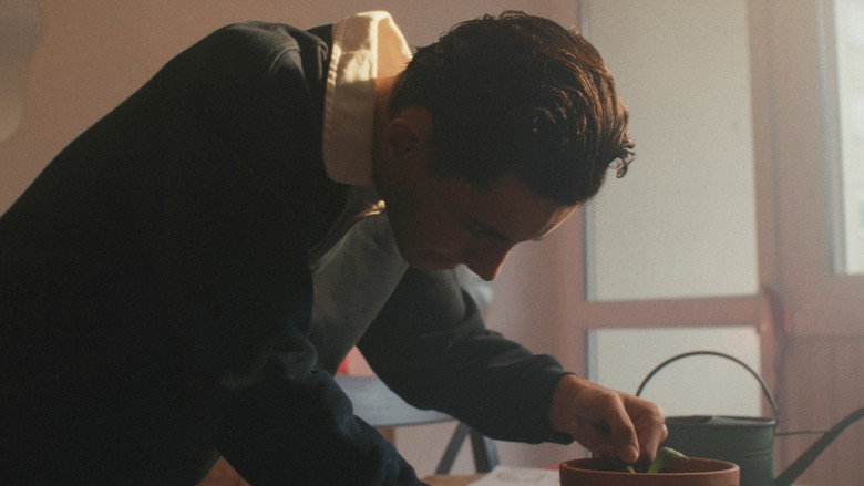 кадр из фильма Adelphia