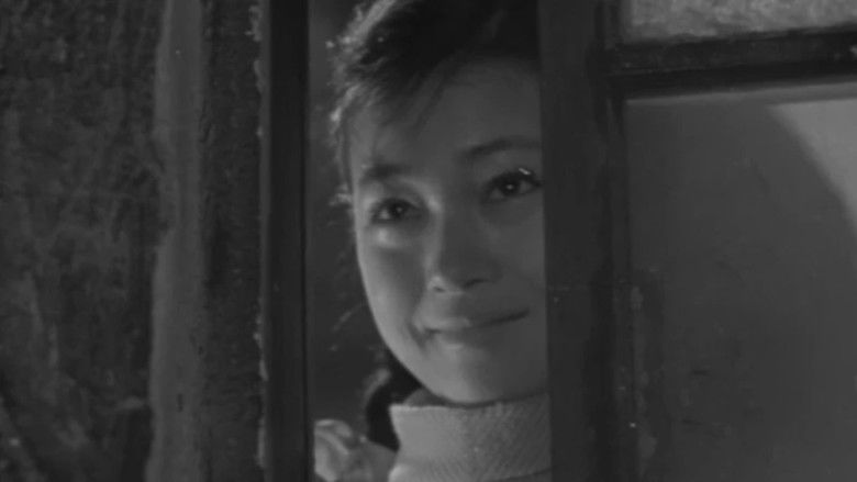 Искренность