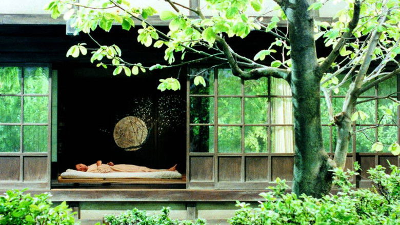 кадр из фильма Спящий человек